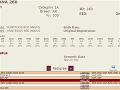 260 Pedigree.JPG