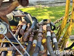 IMG_2954.JPG