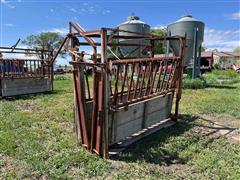 Cattle Processing Chute 