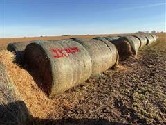 Alfalfa 2nd Cutting Hay Big Round Bales 