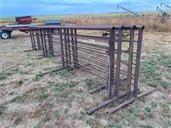 Fence Panels 