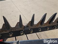 20250407_094028.jpg