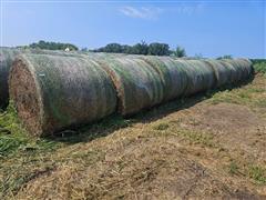 Round Alfalfa Bales 