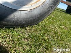 IMG_5335.jpeg