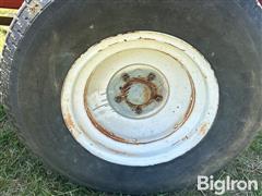 IMG_5330.jpeg