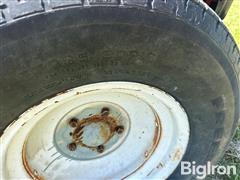 IMG_5329.jpeg