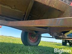 IMG_5338.jpeg