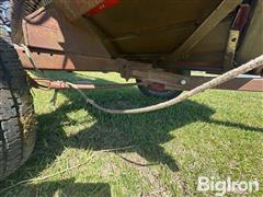 IMG_5336.jpeg