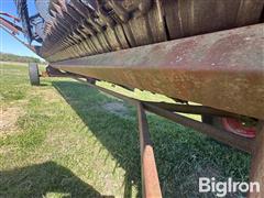 IMG_5337.jpeg