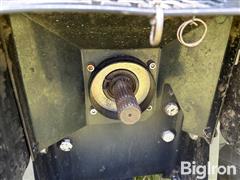 IMG_9328.jpeg