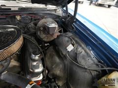 DSC05506.JPG