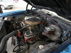 DSC05508.JPG