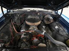 DSC05502.JPG