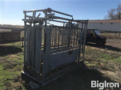 Pearson Cattle Working Chute 