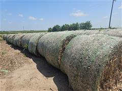 Corn Stalk Bales 