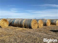 Oat/Pea Hay 