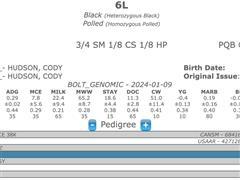 Bull 6L Pedigree.jpeg