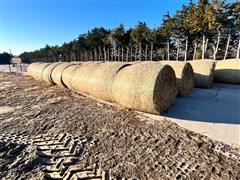 Sudan Grass Round Bale For Feed 