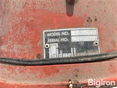 IMG_6530.jpeg