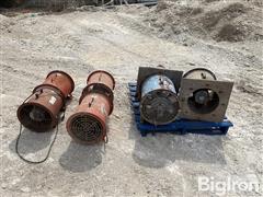 IMG_6518.jpeg