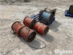 IMG_6519.jpeg