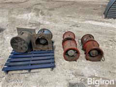 IMG_6522.jpeg