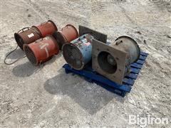 IMG_6517.jpeg