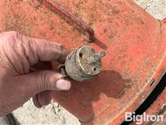 IMG_6532.jpeg