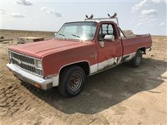 1981 Chevrolet Scottsdale 10 2WD Pickup 