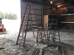 Step Ladders & Extension Ladder 