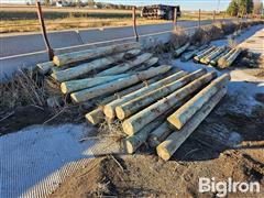 Green Treated 7" Fence Posts 