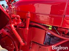 IMG_2608.jpeg