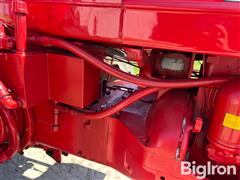 IMG_2609.jpeg