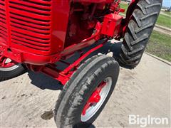 IMG_2617.jpeg