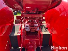 IMG_2598.jpeg