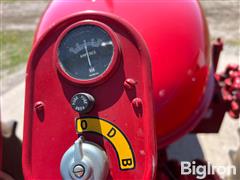 IMG_2600.jpeg