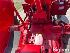 IMG_2601.jpeg
