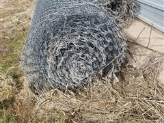 20230302_104129.jpg
