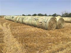 Triticale Hay 
