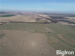 Tract #1: 89.59+/- Acres Rice County, KS