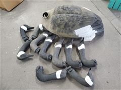 Canada Goose Decoy Shells 