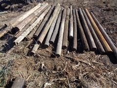 Wood Fence Line Posts 