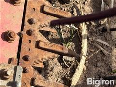 IMG_4604.jpeg
