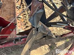 IMG_4599.jpeg