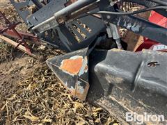 IMG_4617.jpeg