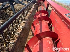 IMG_4621.jpeg