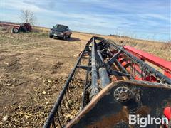 IMG_4626.jpeg