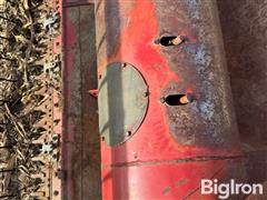 IMG_4622.jpeg