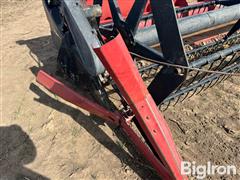 IMG_4595.jpeg