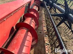 IMG_4605.jpeg